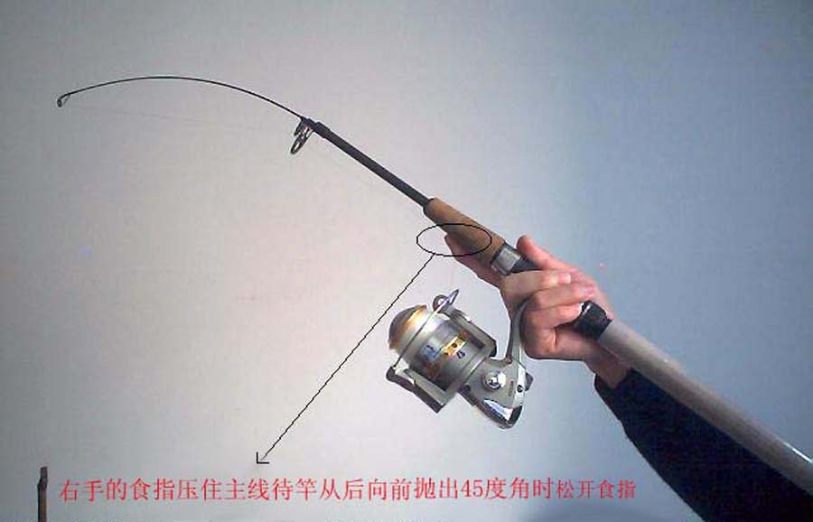 海竿钓不到鲤鱼怎么回事,海竿钓不到鲢鳙是什么原因