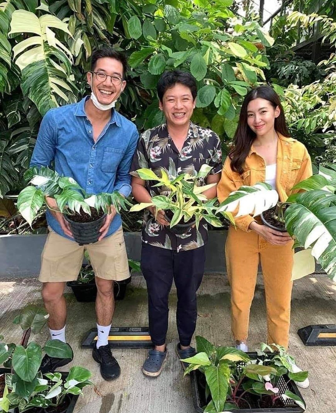 泰星weir个人资料照片,泰星weir获奖视频