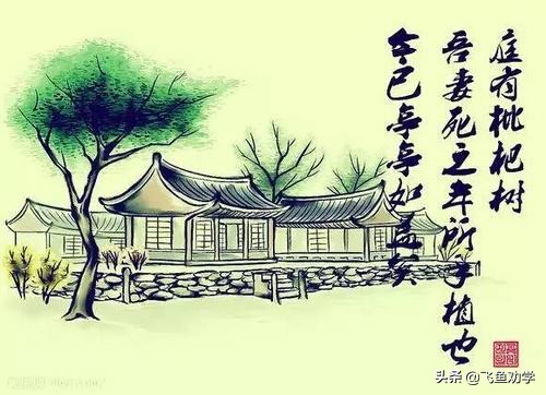 木棉树，*欢合**树，枇杷树：这3棵树写出了3个女人最精彩的一生