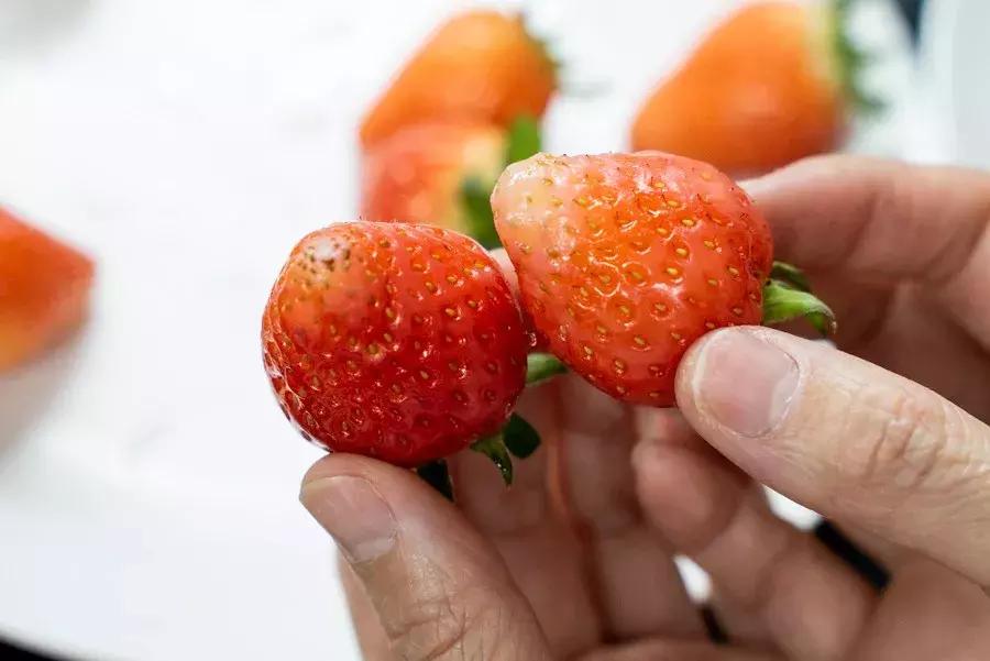 一下子吃了30颗草莓,吃了半斤草莓