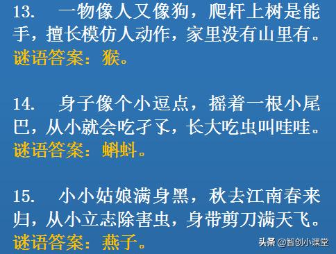 一次有趣的猜字谜游戏,20个猜字谜游戏