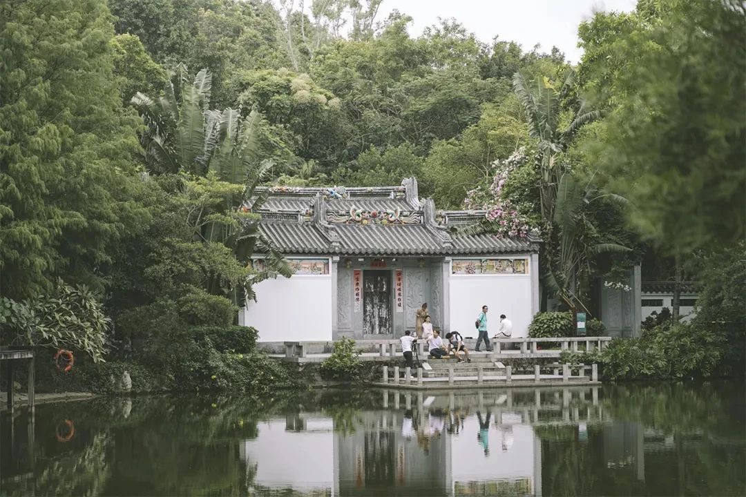 深圳龙华适合小孩子玩的免费景点,深圳适合一日游好玩的地方推荐