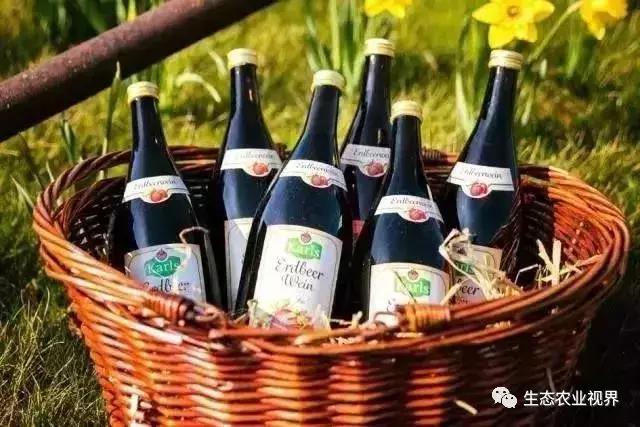 用一颗草莓吸引5百万游客,开5家主题乐园、4家超市、300个草莓屋