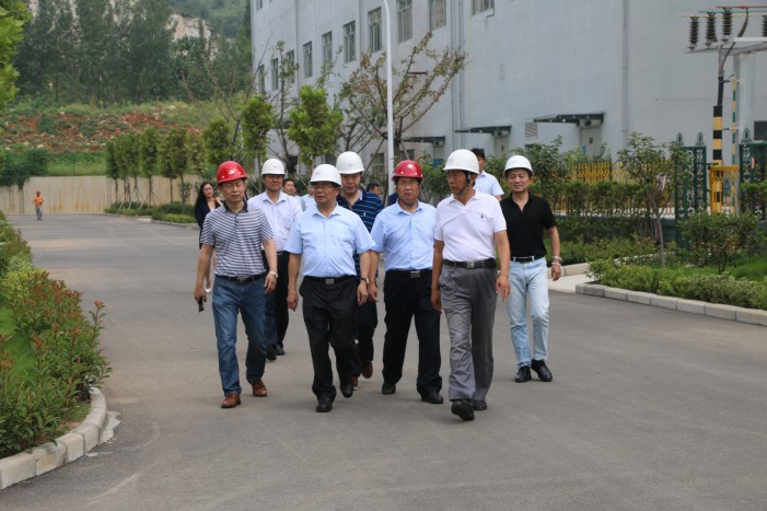 盛运环保债券,桐城盛运环保电力有限公司总经理