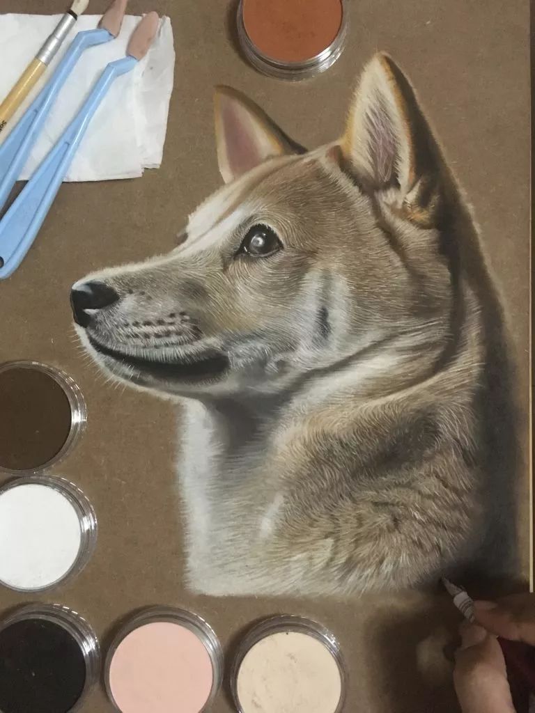 3d超写实彩铅画,超写实彩铅手绘细腻的让人咋舌