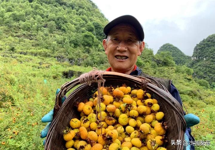 水城:产业兴旺乡村美