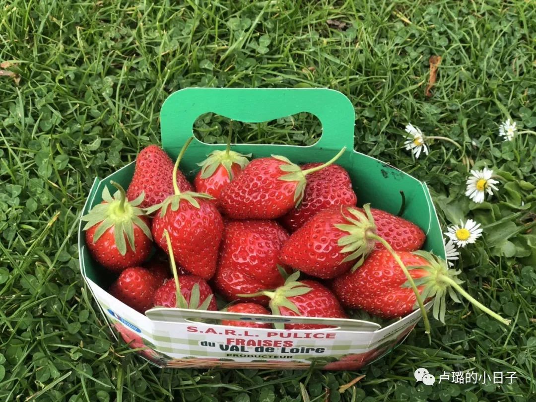 清点那些值得让我人肉背回的法国好物!最低只要9元!