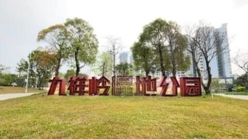 有哪些好玩的地方适合儿童深圳,深圳适合小朋友玩的8个免费景点