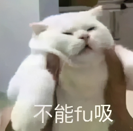 留学生过海关不能带什么,留学生回国海关行李怎么办