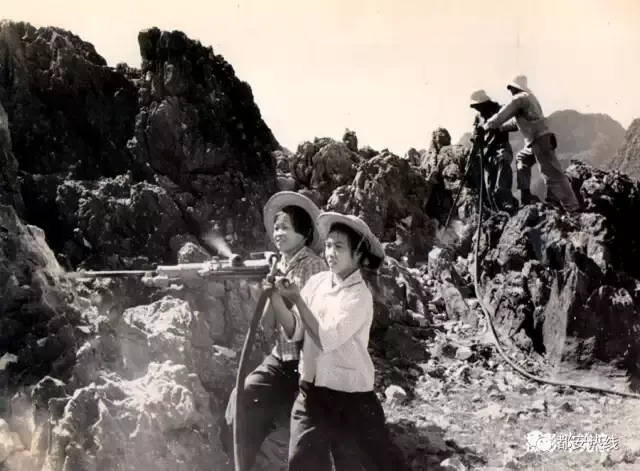 都安炮来历,都安炮的典故是什么