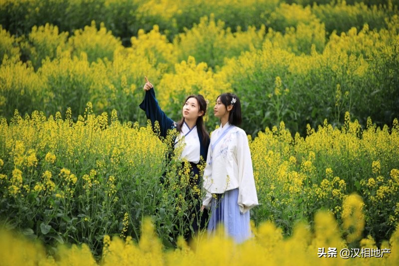 为什么宣传汉族的自豪情怀,汉中为何称为汉人故里