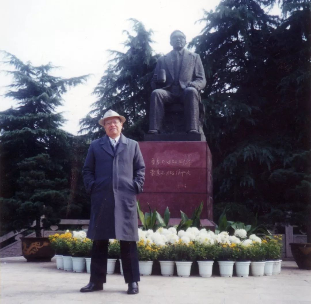 徐利治著作,数学家徐利治