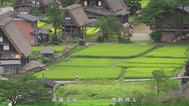 差点被剧名劝退的好剧,被剧名劝退的电视剧