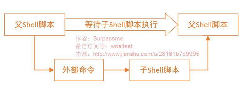 shell编程100例,shell脚本简介和基本语法