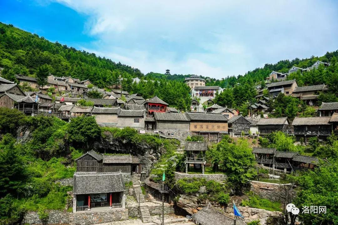 洛阳牡丹花会邀请,洛阳邀请全世界人民看牡丹