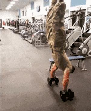 吃蛋粉会增肌吗 (不喝蛋粉练不出来肌肉吗)