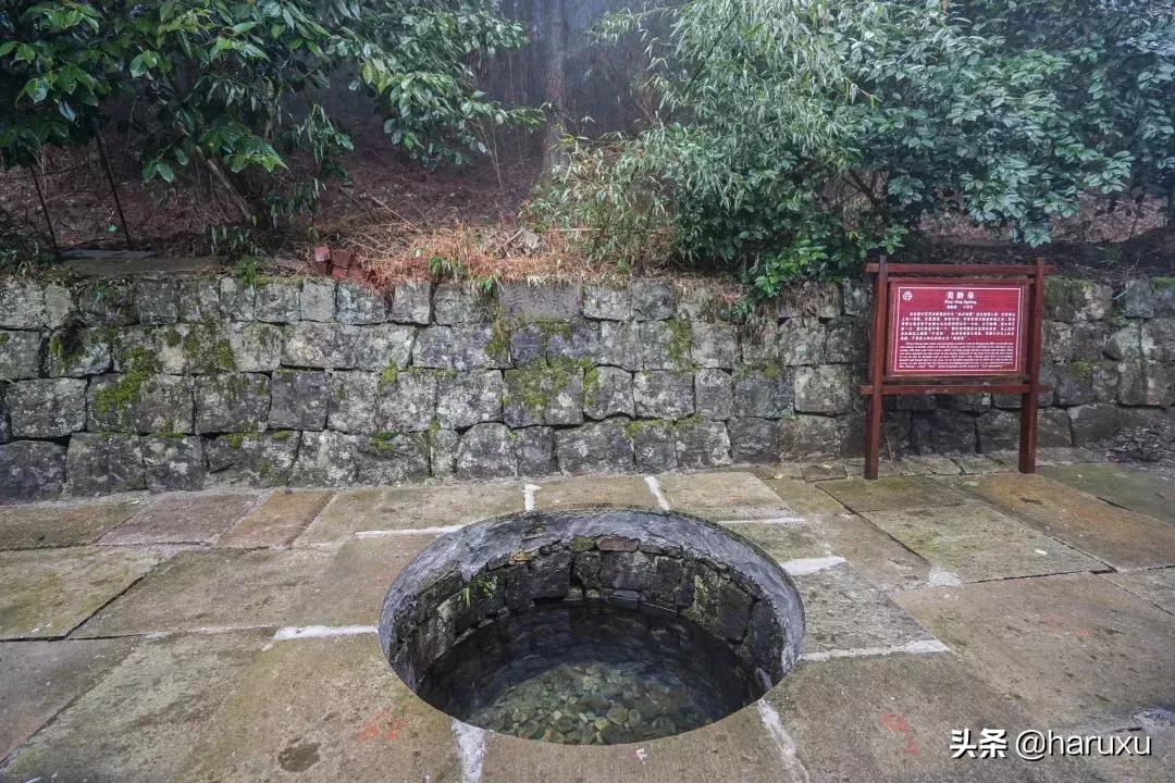 南方也能下雪吗,南方也能见到雪