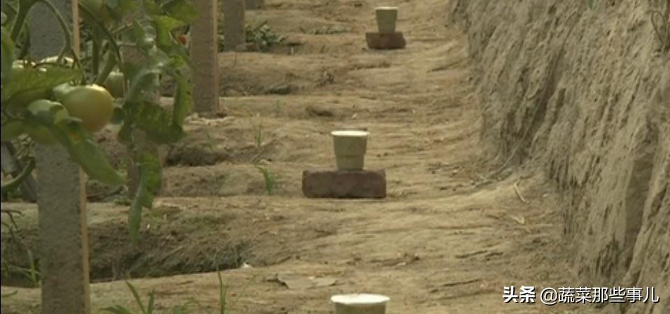 烟熏剂可以提高大棚里温度吗,大棚为什么要使用烟熏剂