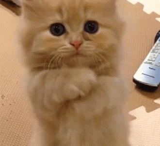 疫情中的替代性创伤,疫情替代性创伤