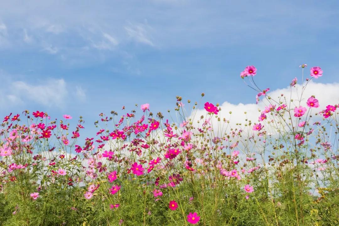 河北被遗忘2000年的古城,河北被遗忘的古城
