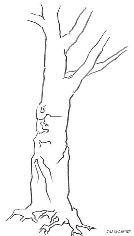 钢笔画入门教程花鸟,钢笔画入门基础教程人物