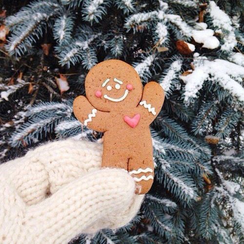 圣诞节写真照教程,圣诞风拍照姿势