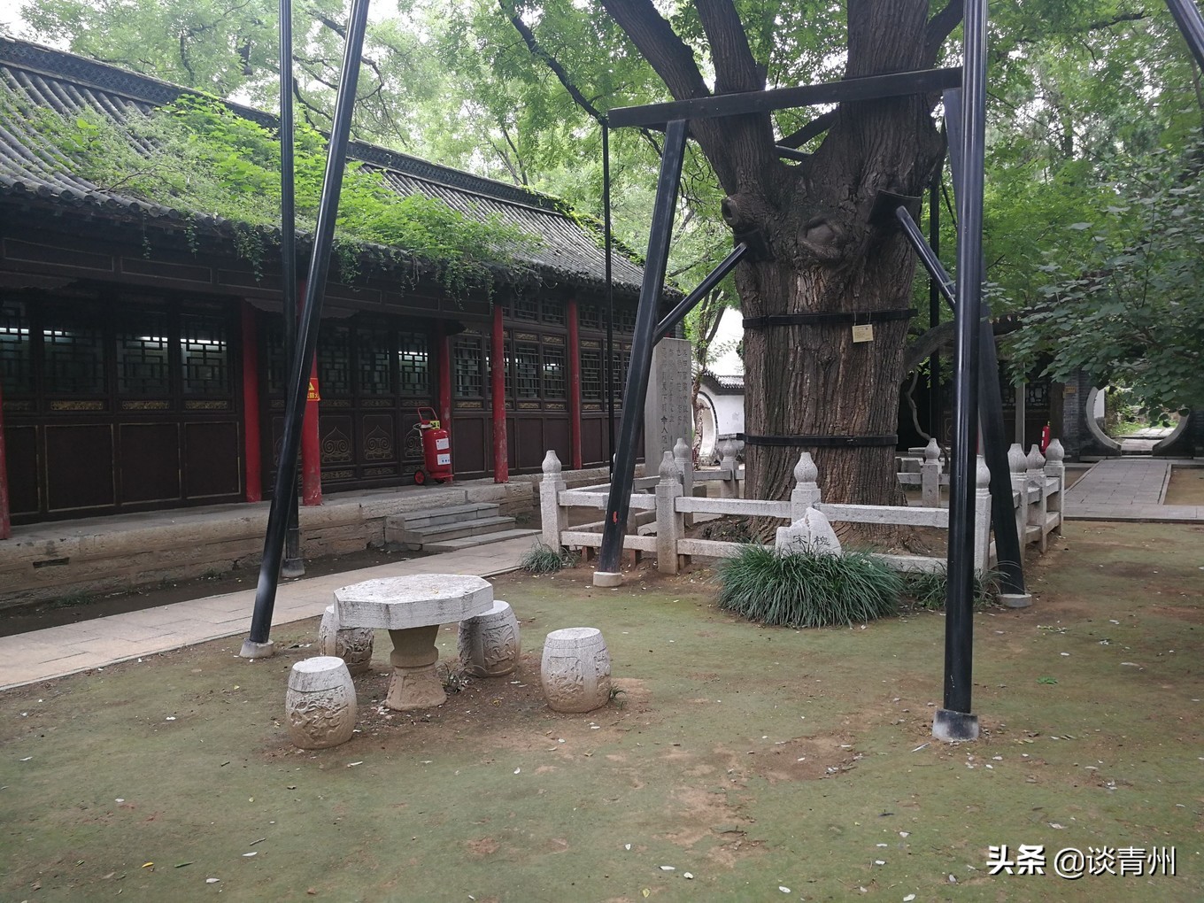 青州古城一日游视频,青州古城夜晚一日游