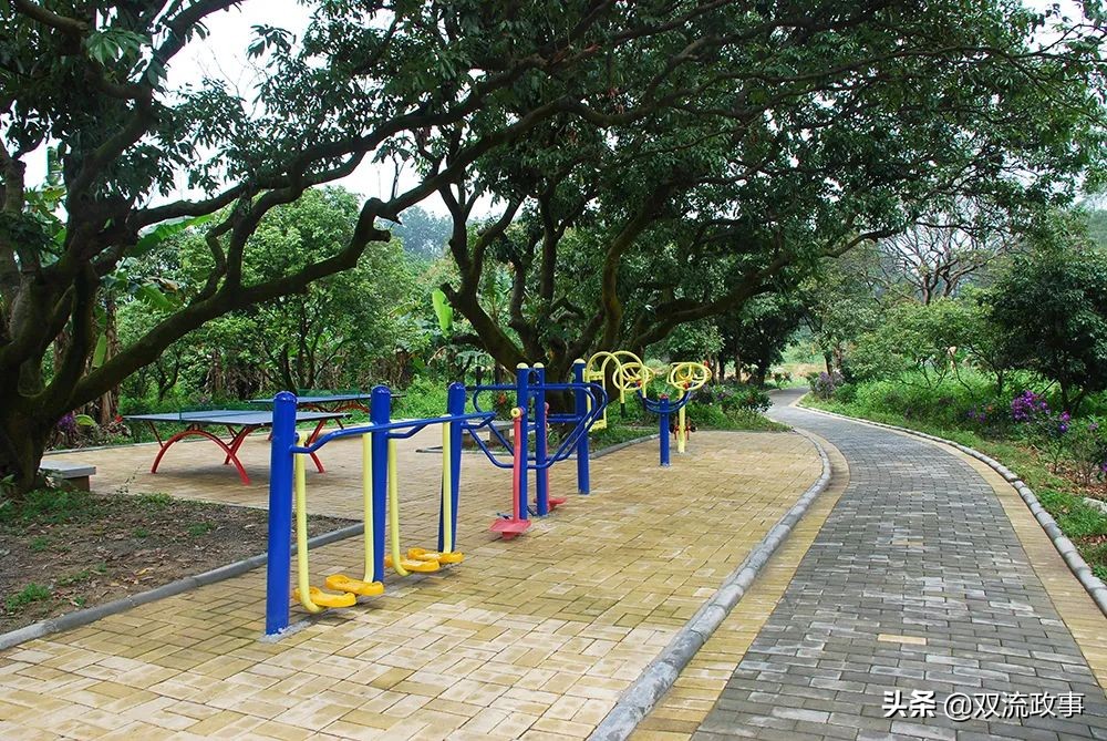 双流近都社区全民健身,双流全民健身馆