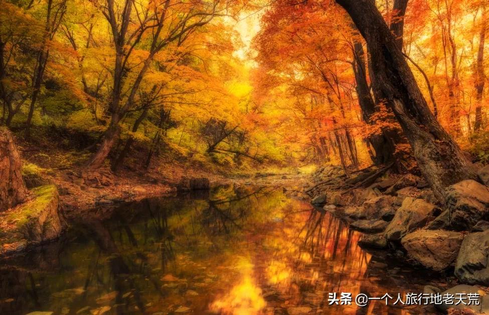 国庆带宝宝去玩的宝藏地方,贵阳国庆周边宝藏地