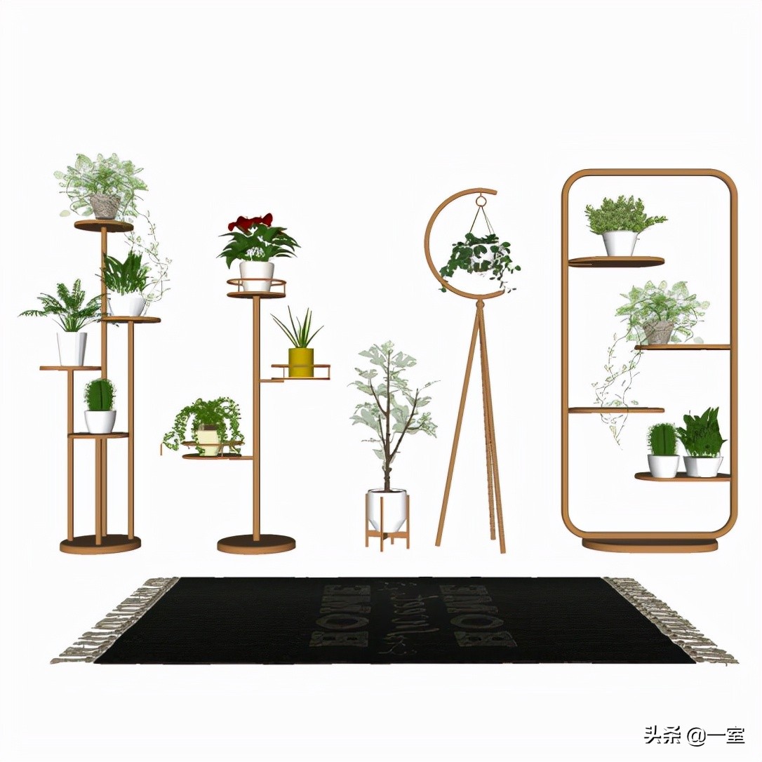 网红庭院植物搭配,网红绿植搭配技巧