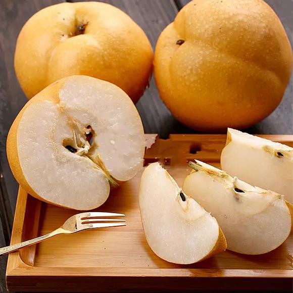 热带水果名单,热带水果王国攀枝花