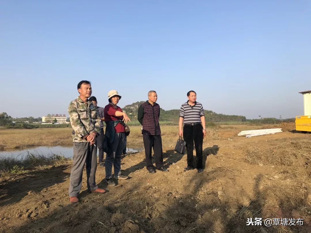 村子里的养殖场,我的家庭养殖场