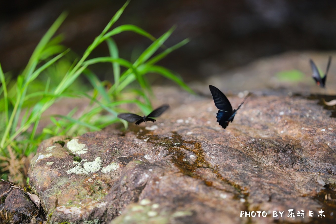 这里被称为广深后花园，每年夏天游人如织，有山有水的避暑胜地