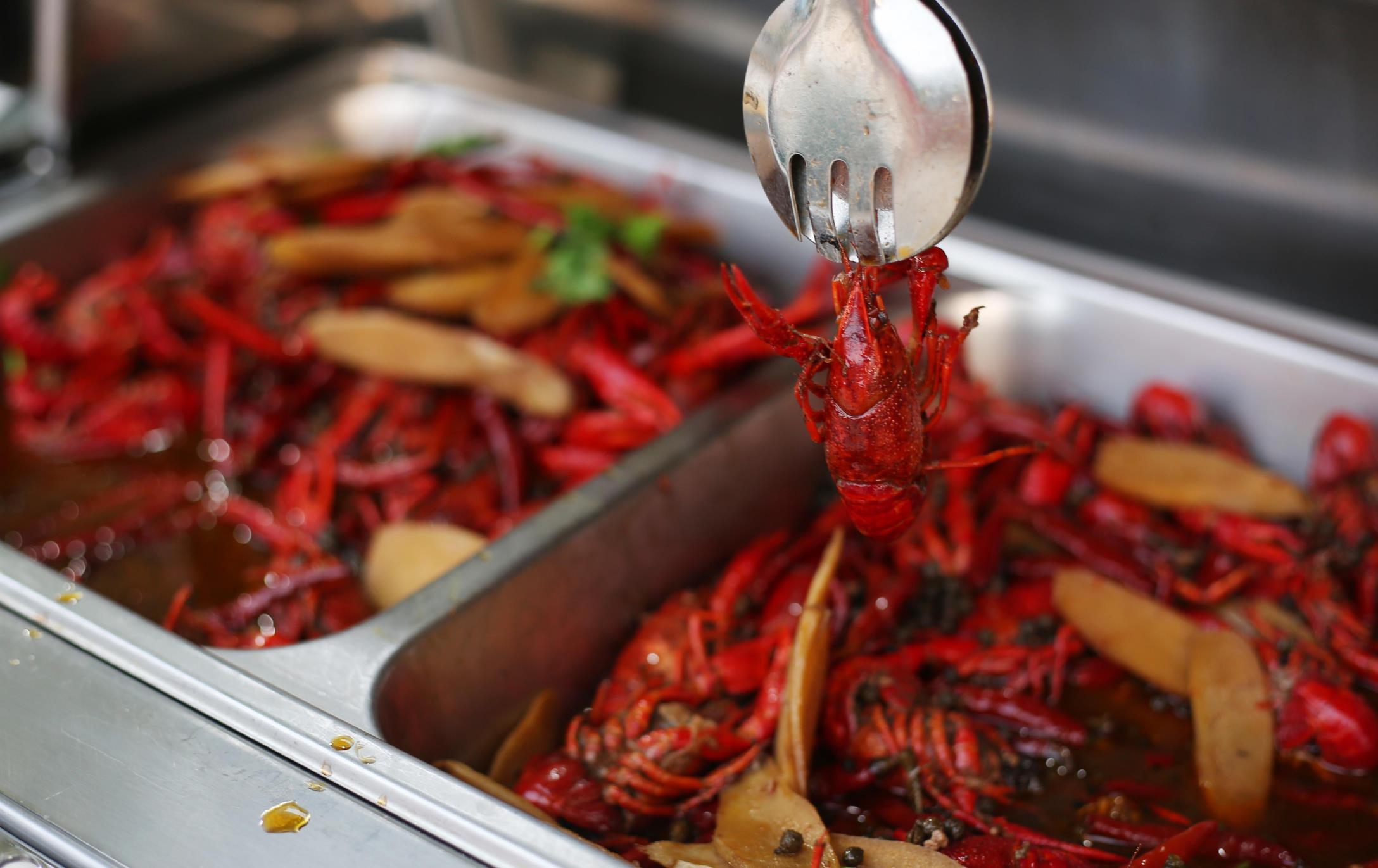 天津亲子游去哪里玩,天津周边自驾亲子游