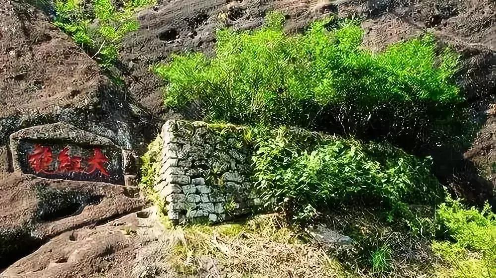 大红袍冬茶好吗怎么喝,喝大红袍茶是春天好还是冬天好