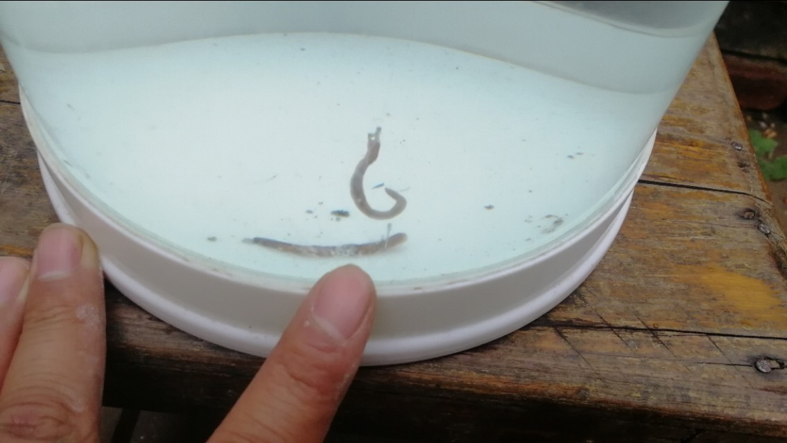 全网最快调漂不接受反驳,五步调漂的正确方法与技巧