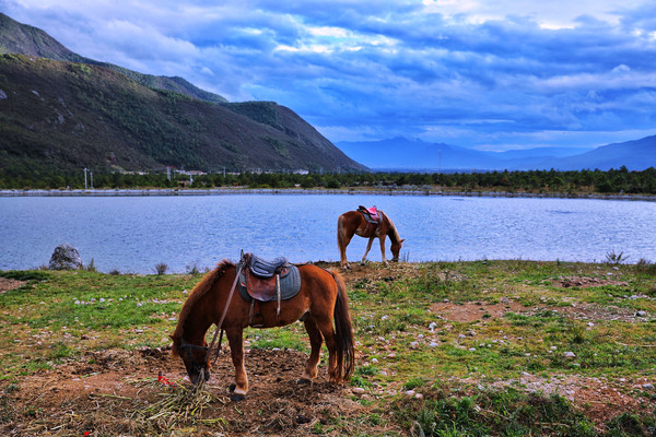 丽江小时光，遇见皆是欢喜