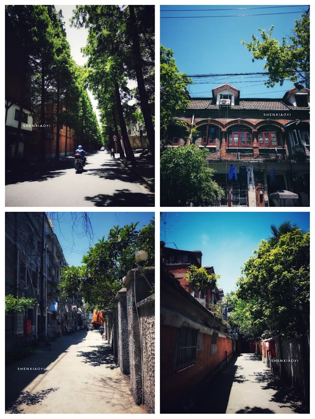 探访200家店总结出网红店5大套路,探访5平方店面