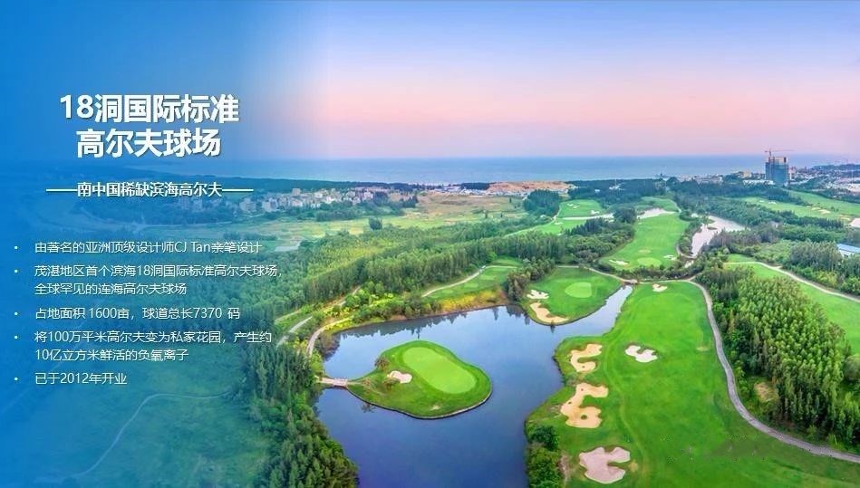 湛江鼎龙湾项目,湛江鼎龙湾项目怎么样