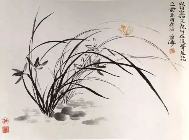 如何画兰花图片大全大图,怎么样画兰花才能好看