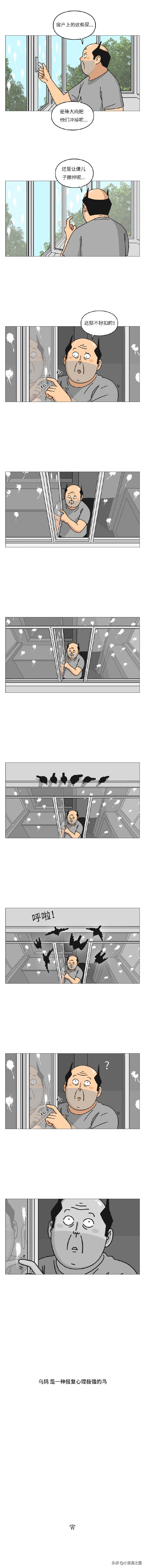 被一只鸟记仇是什么体验？（漫画）