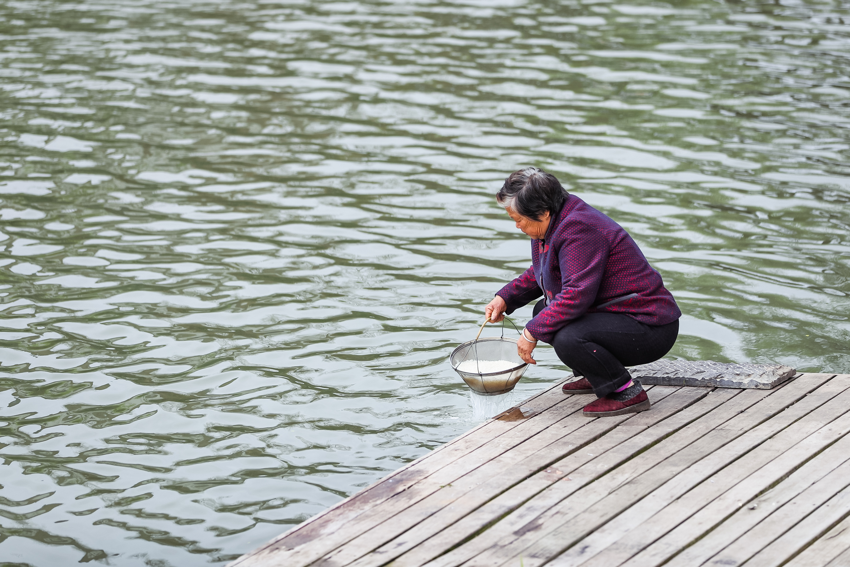 兴化看油菜花一日游,兴化千亩油菜花旅游
