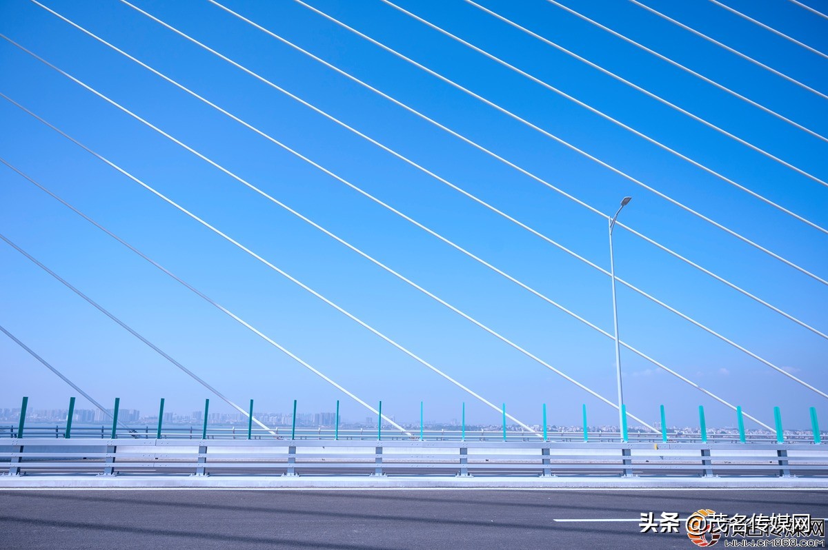 电白在崛起！——2021网络媒体看滨海（电白）采风活动