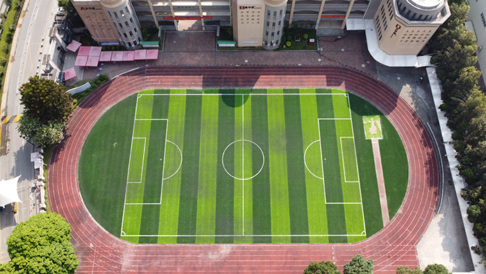 广元体育场人造草坪价格,如何选人造草坪的好坏呢