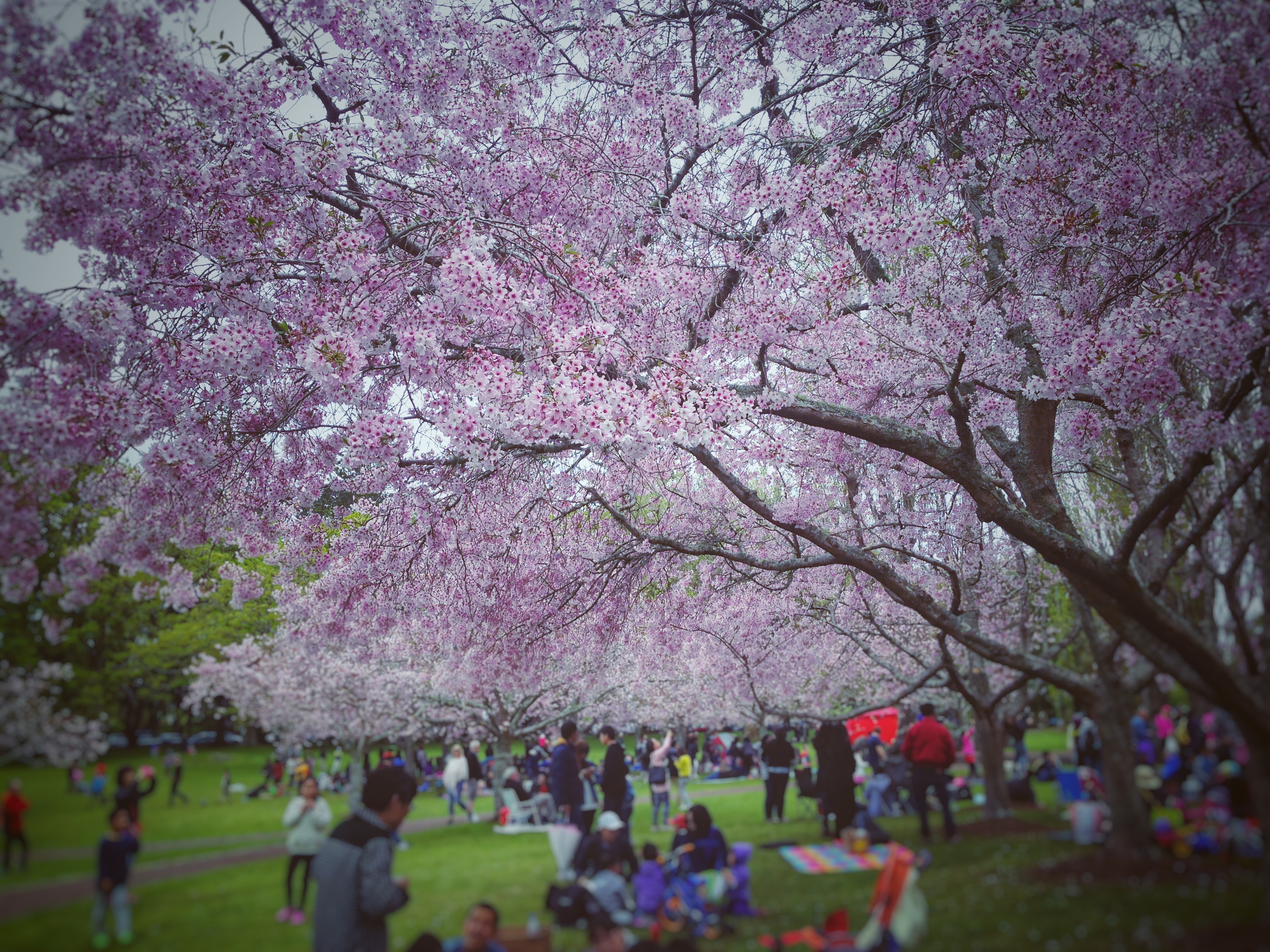 80后旅游博主,80后旅行博主