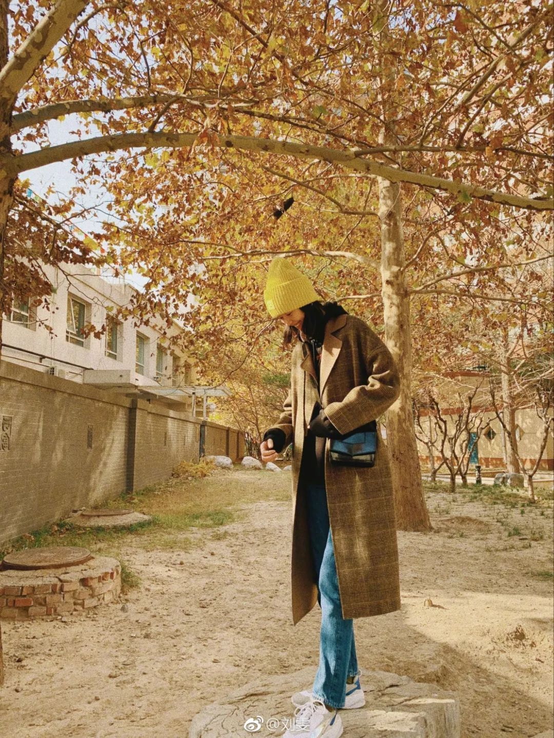 穿衣自由的榜样,穿衣灵感治愈系复古风格