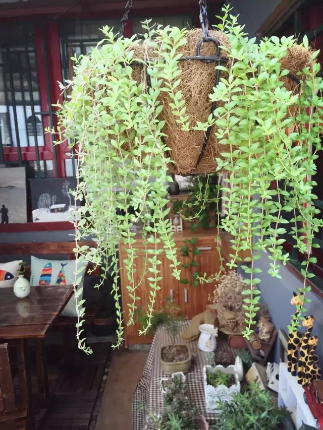 平房小户型房屋改造,40平出租房改造图片