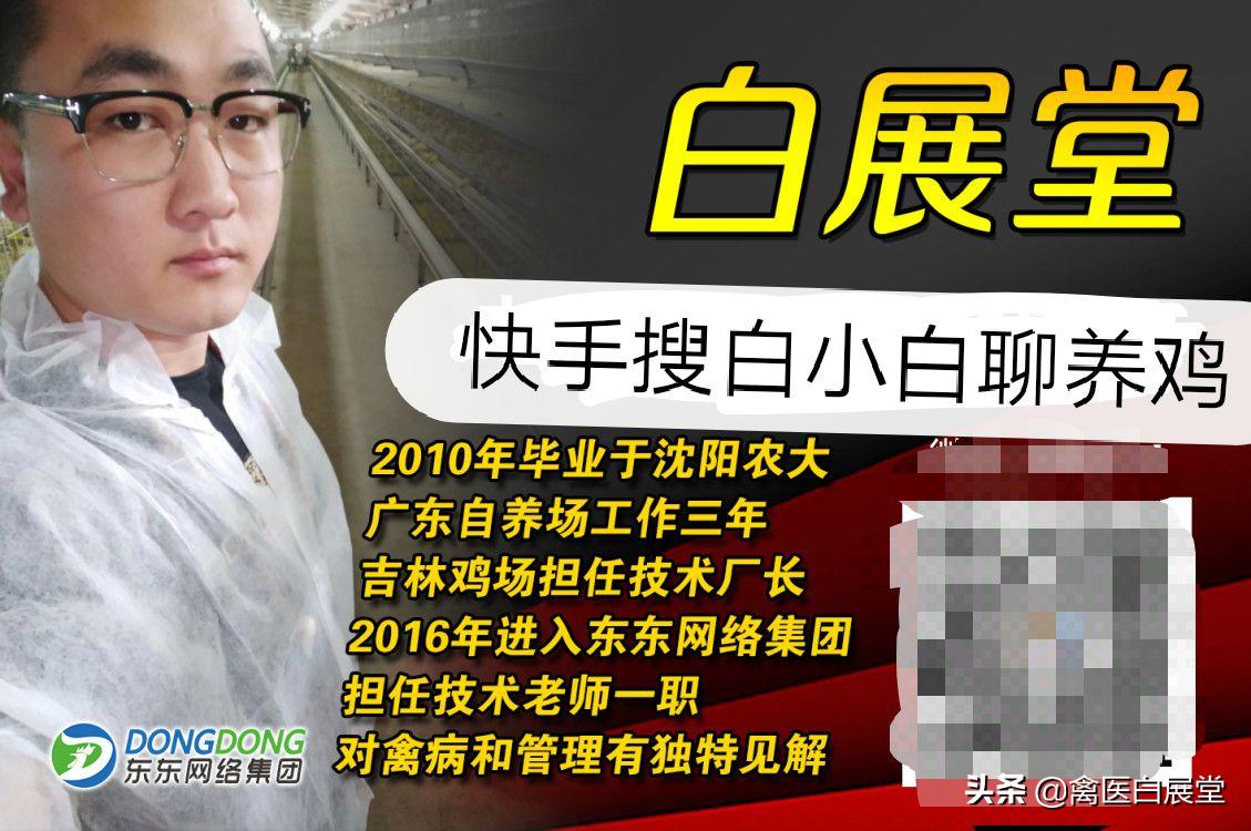 2019年4月20日毛羽鸡价格走势,关注2018黄鸡价格行情