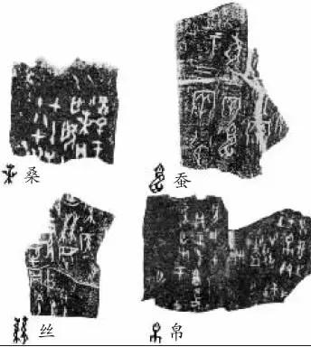 神话传说中的桃树,东方紫桑树是什么意思