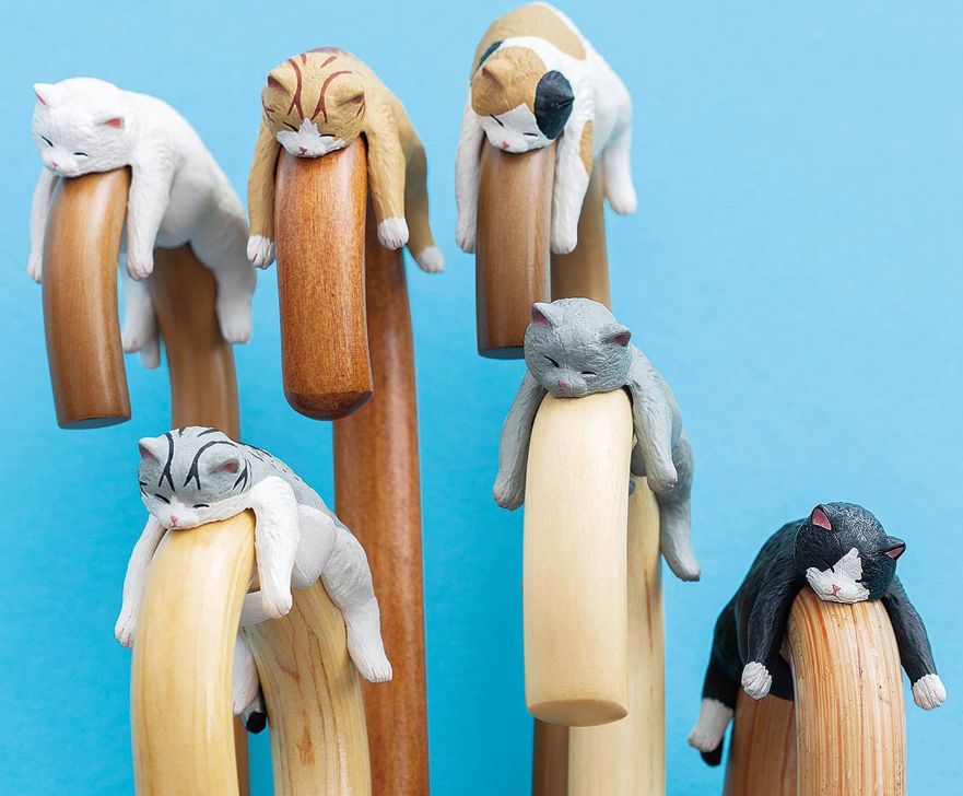 日本人又来骗猫奴们的钱啦!但我心甘情愿掏钱了!